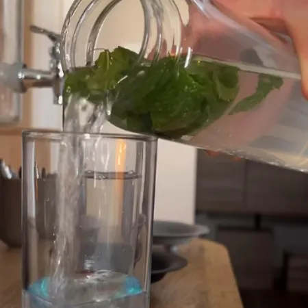 Le Haras D Havetot Maison d'hôtes Anctoville