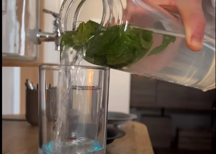 Le Haras D'havetot Penzion Anctoville