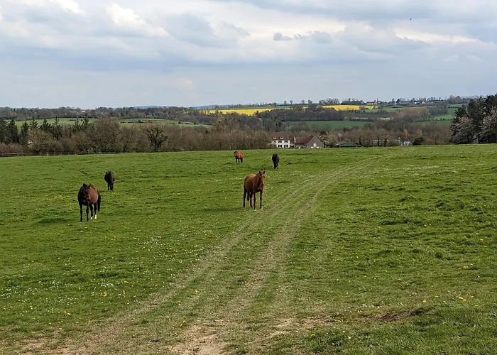 Le Haras D'havetot Penzion 4*